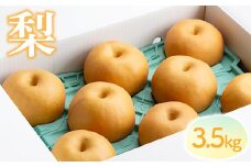 【2024年】【期間限定】【土づくりからこだわる大野農園】旬のおすすめの梨　3.5K（9～5個）【07003】