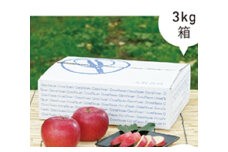 【2024年】【期間限定】【土づくりからこだわる大野農園】旬のおすすめのりんご　３K（10～7個）【07018】