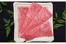 【いしかわ牛】すき焼き用 約500g＜先行予約2025年1月下旬頃より発送＞【0501601】