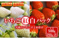 【早期予約・数量限定】いちご紅白パック(天使のいちごⓇ1Pと赤苺1P)　合計500g 250g×2パック＜2025年2月下旬頃より順次発送予定＞【1000601】