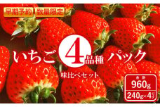 【早期予約・数量限定】いちご4品種パック味比べセット　合計960g 240g×4パック＜2025年2月下旬頃より順次発送予定＞【1000501】