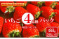 【早期予約・数量限定】いちご4品種パック味比べセット　合計960g 240g×4パック【1000501】