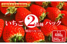 【早期予約・数量限定】いちご2品種パック味比べセット　合計480g 240g×2パック＜2025年2月下旬頃より順次発送予定＞【1000401】