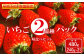 【早期予約・数量限定】いちご2品種パック味比べセット　合計480g 240g×2パック【1000401】