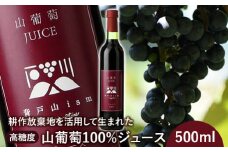 ＜耕作放棄地を活用して生まれた＞高糖度山葡萄100%ジュース 500ml【09010】
