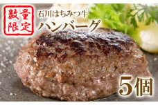 【数量限定】石川はちみつ牛ハンバーグ（5個）【13001】