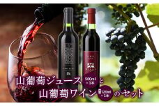 山葡萄ジュース500ｍｌ 山葡萄ワイン辛口720ｍｌセット【09015】