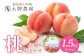 桃1.5kg（品種おまかせ） 4～8玉
