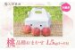 桃1.5kg（品種おまかせ） 4～8玉