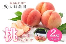 桃 2kg 品種お任せ 5～8玉 ｜ もも 旬 ランダム 果物 フルーツ 完熟 ピーチ 産地直送 新鮮 大野農園 福島県 石川町【19002】