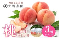 桃 3kg 品種お任せ 7～13玉 ｜ もも 旬 ランダム 果物 フルーツ 完熟 ピーチ 産地直送 新鮮 大野農園 福島県 石川町【19003】