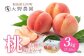 桃3kg（品種お任せ）7～13玉