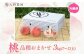 桃3kg（品種お任せ）7～13玉