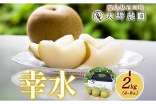 梨 幸水 2kg 4～6玉 ｜ なし 旬 果物 フルーツ 甘い シャキシャキ 産地直送 新鮮 お取り寄せ 大野農園 福島県 石川町【19004】