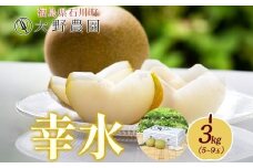 梨 幸水 3kg 5～9玉 ｜ なし 旬 果物 フルーツ 甘い シャキシャキ 産地直送 新鮮 お取り寄せ 大野農園 福島県 石川町【19005】