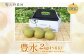 梨2kg 豊水 4～6玉