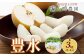梨3kg 豊水 5～9玉