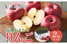 りんご 2kg 品種お任せ 5～8玉 ｜ リンゴ 旬 ランダム 林檎 果物 フルーツ 甘い アップル 産直 大野農園 福島県 石川町【19009】