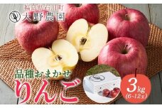 りんご3kg 品種お任せ 6～12玉 ｜ リンゴ 旬 ランダム 林檎 果物 フルーツ 甘い アップル 産直 大野農園 福島県 石川町【19010】