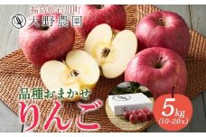 りんご5kg 品種お任せ 10～20玉 ｜ リンゴ 旬 ランダム 林檎 果物 フルーツ 甘い アップル 産直 大野農園 福島県 石川町【19011】