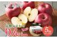 りんご5kg（品種お任せ）10～20玉