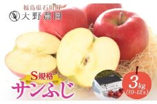 サンふじ 3kg S規格 10～12玉 ｜ りんご リンゴ 旬 林檎 果物 フルーツ 甘い アップル 産直 大野農園 福島県 石川町【19013】