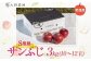 サンふじ 3kg （S規格）10～12玉