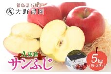 サンふじ 5kg A規格 18～20玉 ｜ りんご リンゴ 旬 林檎 果物 フルーツ 甘い アップル 産直 大野農園 福島県 石川町【19015】