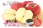 サンふじ5kg（A規格）18～20玉