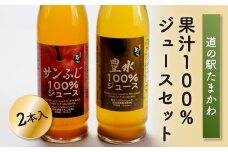 FT18-175【道の駅たまかわ】果汁100％ジュースセット