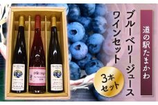 FT18-180【道の駅たまかわ】ブルーベリージュース・ワインセット
