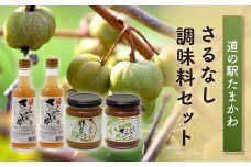FT18-177【道の駅たまかわ】 さるなし調味料セット