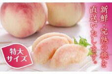 FT18-255 ＜先行予約＞ 令和7年産 【玉川村 こぶしの里】 契約栽培 桃特大サイズ 約11～16玉（5kg相当） もも モモ 果物 フルーツ デザート