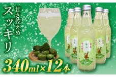FT18-213玉川村特産 さるなしサイダー 12本