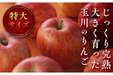 FT18-178【玉川村】 契約栽培 りんご 特大サイズ 約11～13玉 （5kg相当）