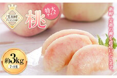 FT18-260 ＜先行予約＞ 令和7年産 【玉川村 こぶしの里】 契約栽培 桃 特大サイズ 約3kg（7～9玉） もも モモ 果物 フルーツ デザート