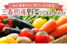 【旬の野菜】三春町産野菜の詰合せ 約10〜15kg 【季節野菜 7〜8種類 セット 詰め合わせ アスパラ 玉ねぎ 新鮮 厳選 国産 BBQ バーベキュー 贈り物】【07521-0007】
