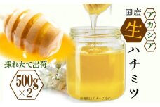 三春町産　力男のはちみつ【大瓶詰合せ アカシア ハチミツ 生はちみつ 無添加 採りたて 天然 非加熱 国産 免疫力 美肌 免疫 腸内フローラ 疲労回復 デザート】　【07521-0032】