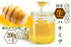 三春町産　力男のはちみつ【小瓶詰合せ アカシア ハチミツ 生はちみつ 無添加 採りたて 天然 非加熱 国産 免疫力 美肌 免疫 腸内フローラ 疲労回復 デザート】　【07521-0033】
