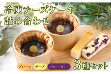 冷凍チーズケーキ詰合せ 【バスク チーズケーキ チーズ ケーキ 冷凍 お菓子 スイーツ デザート プレーン ケーキバー ブルーベリー 誕生日 記念日 お祝い ギフト プレゼント 贈り物 贈答 ご褒美】　【07521-0068】