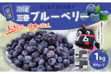 三春冷凍ブルーベリー 500g×2パック／計1kg 【三春町産 冷凍ブルーベリー 大粒 福島県 三春町 三春ブルーベリー倶楽部 有機質肥料 果物 国産 フルーツ 果実 旬 お中元 夏 ギフト プレゼント 贈り物 贈答】【07521-0107】