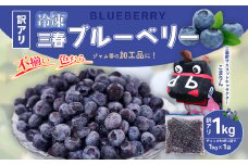【訳アリ】三春冷凍ブルーベリー 1kg×1袋 【三春町産 冷凍ブルーベリー 大粒 福島県 三春町 三春ブルーベリー倶楽部 有機質肥料 果物 国産 フルーツ 果実 自宅用】【07521-0109】