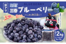 【訳アリ】三春冷凍ブルーベリー 1kg×2袋／計2kg【三春町産 冷凍ブルーベリー 大粒 福島県 三春町 三春ブルーベリー倶楽部 有機質肥料 果物 国産 フルーツ 果実 旬】　【07521-0110】