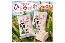 令和6年産福島県小野町産ひとめぼれ10kg(5kg×2袋)精米【1629174】