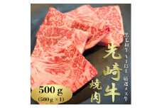 ＜先崎牛＞A4等級以上の希少な厳選メス牛◆ロース焼肉500g【1630453】