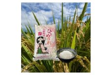 令和6年産福島県小野町産ひとめぼれ　5kg　精米【1630012】