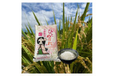 ＜毎月定期便＞小野町産ひとめぼれ 精米 5kg全3回【4069013】