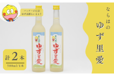  ゆず酒 ならはのゆず里愛  柚子 果実酒 500ml 2本セット　【ゆず 果実酒 お酒 柚子 フルーツ お酒 ギフト  お酒 プレゼント 飲み物 福島 女性 おすすめ 甘さ 香り 特産 セット 飲みやすい 母の日 父の日 敬老の日 クリスマス 誕生日 正月 年末年始 】
