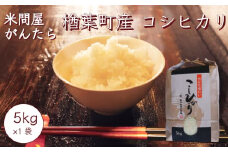 2023年産 米問屋がんたら 楢葉町産 コシヒカリ 5kg(5kg×1袋)　001c013