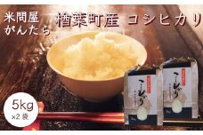 2023年産 米問屋がんたら 楢葉町産 コシヒカリ 10kg(5kg×2袋)　001c014